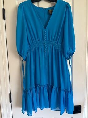Taylor Vibrant Blue Sheer Midi Dress with Ruffled Hem